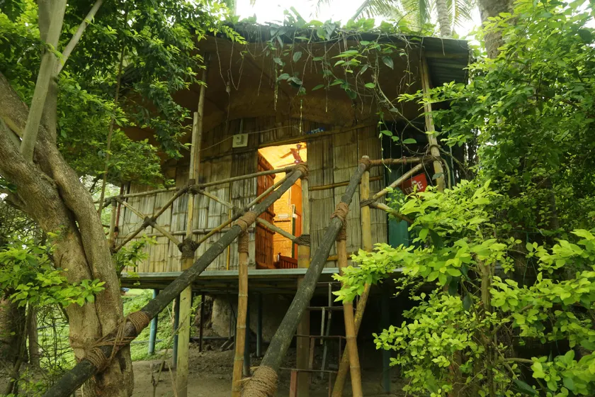 JUNGLE PARADISE FARM & GUEST HOUSE - Image 1