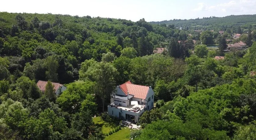 Villa Viridis Bükkalja - Image 1