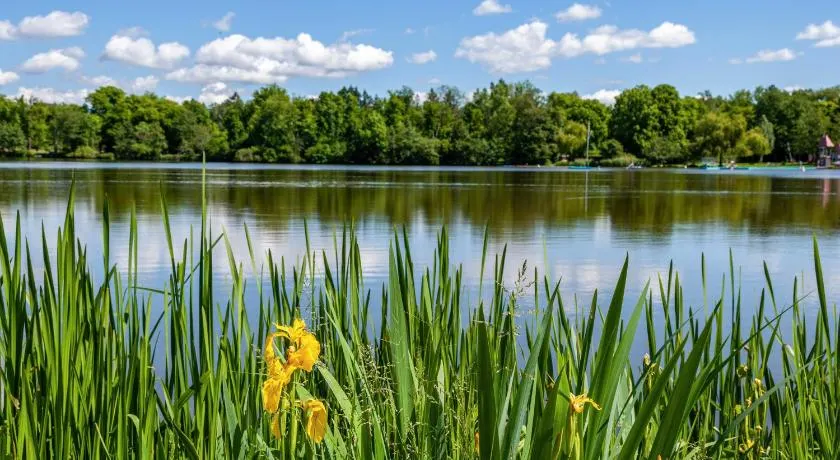 Fewo am Stadtsee - Bad Waldsee - Image 1