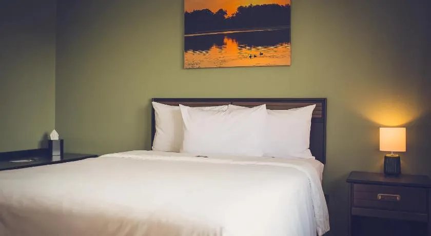 Forrest Inn - Image 1