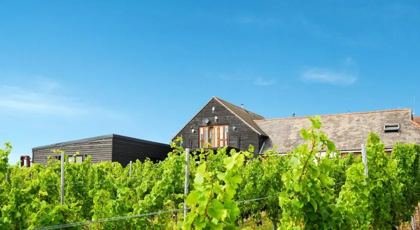 Mersea Island Vineyard - Image 1