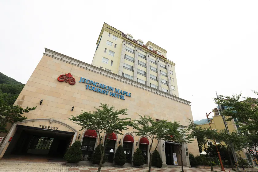 Maple Tourist Hotel - Image 1