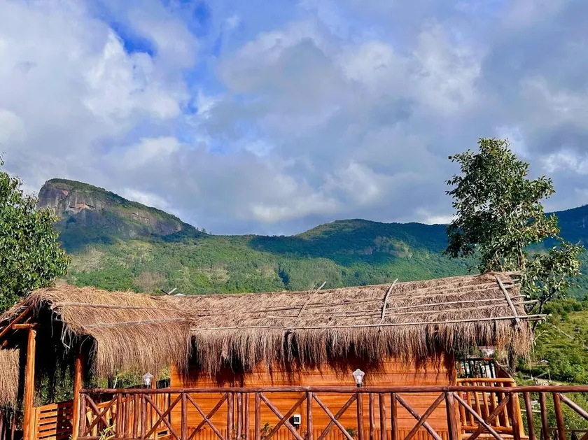 The Treehouse Cottage at KanavLiving | Balcony & Mist Views - Image 1