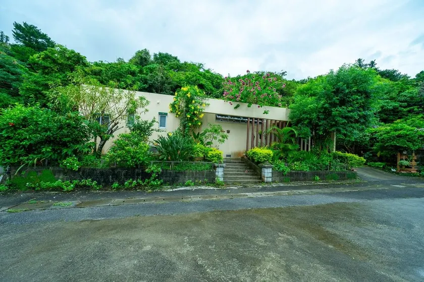 Okinawa Main Island North - Refresh in the Great Nature Selected as a World Natural Heritage Site - Image 1