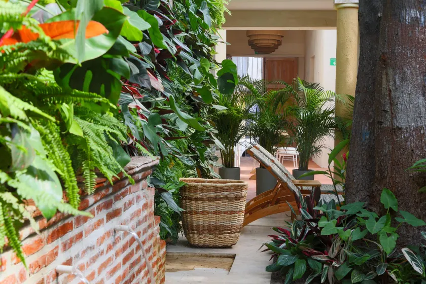 Casa Jaguar Hotel Boutique - Image 1