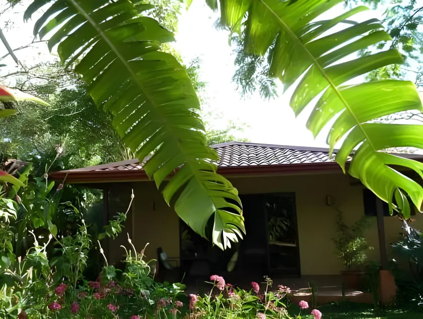 Tacacori EcoLodge - Image 1