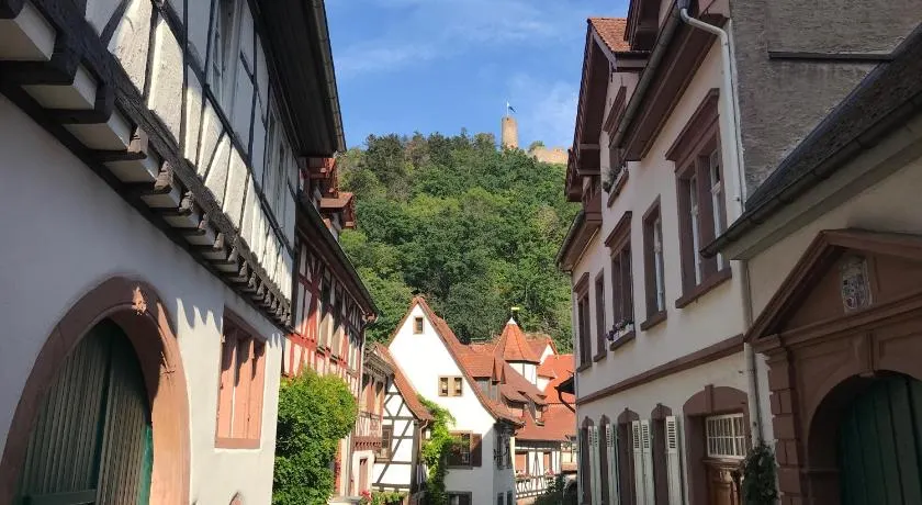 Büdinger Hof - Image 1