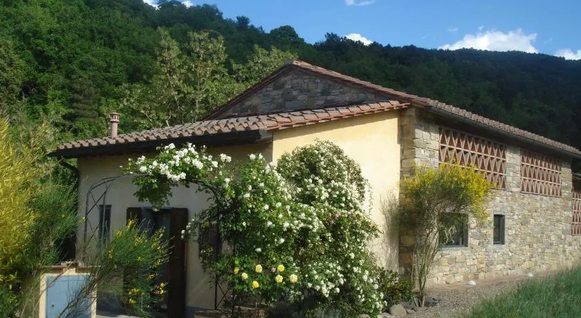 Il Cielo Bio - nature, relax, Shiatsu, massage, esplore Chianti - Image 1