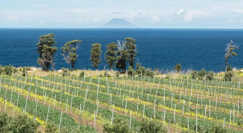 Tenuta Rasocolmo - Image 1