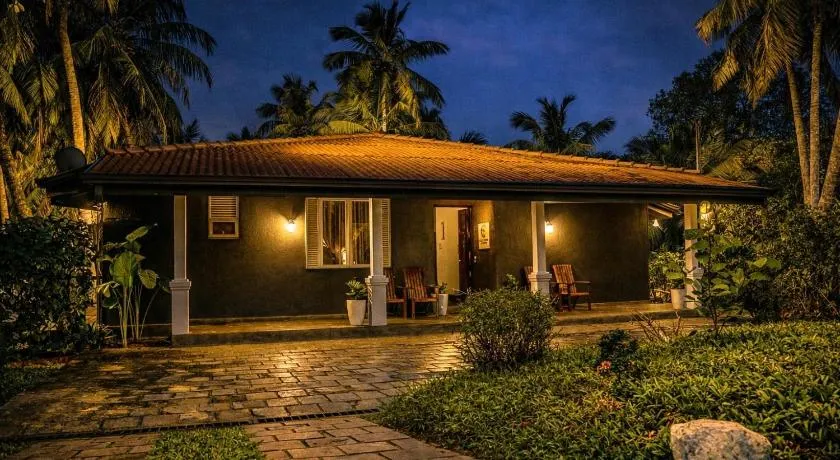 Coco forest camping - Image 1