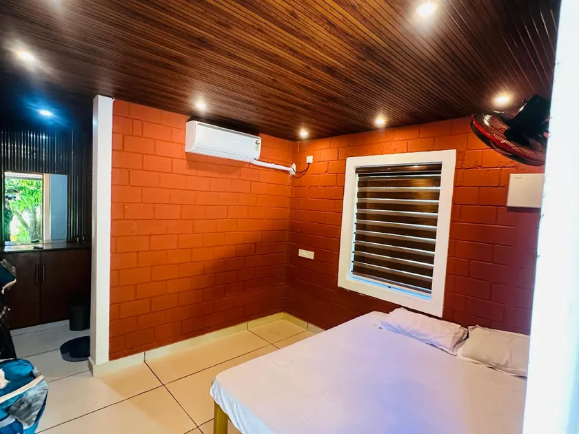 Jungle Homes - Image 1