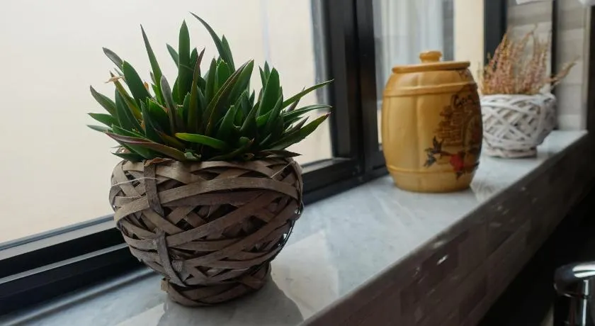 Mamina's House - Image 1