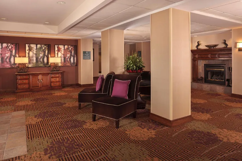 Luxury Medical District Mins to Dallas Market with Pool View - Image 1