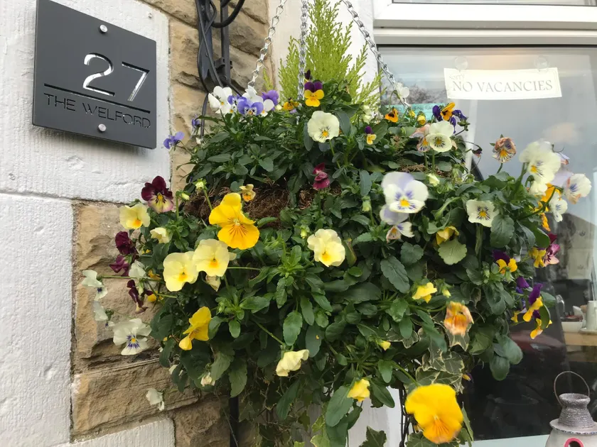 The Welford - Image 1