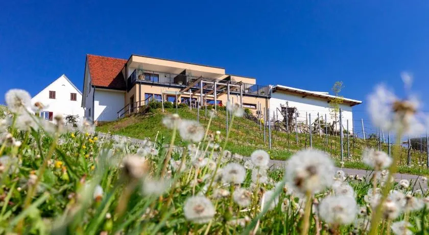 Weingut und Gästezimmer Perner - Image 1