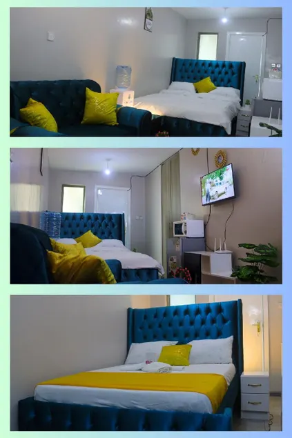 DefiniteHomes1 - Fully furnished studio with a rooftop restaurant near JKIA Airport, Downtown Nairobi - Image 1