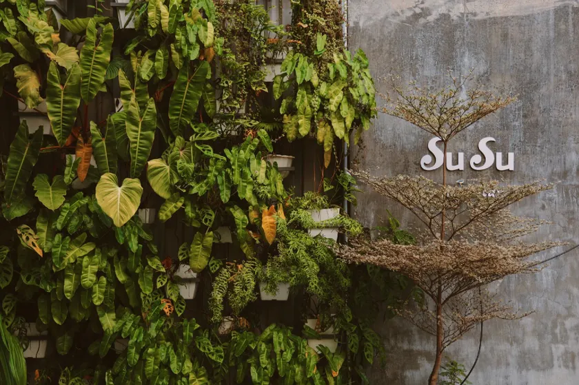 Susu Homestay Hue - Image 1