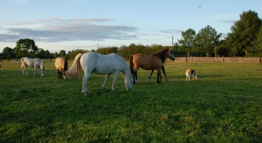 The Little Flock Farm - Image 1
