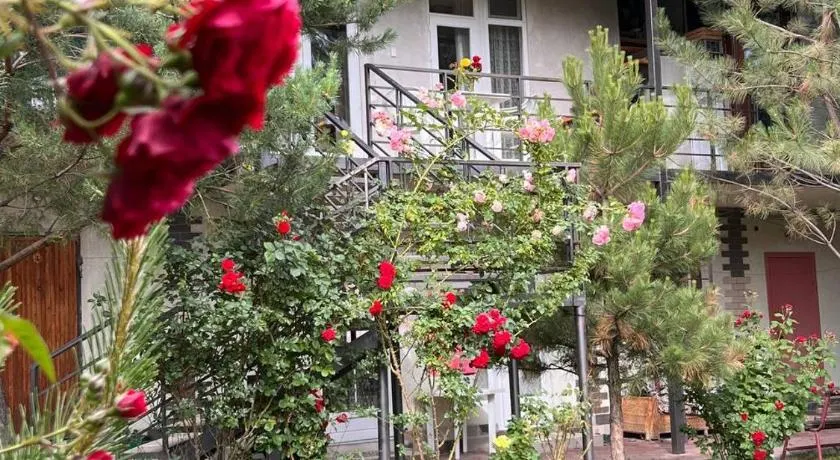 Podsolnukhi Guest House - Image 1