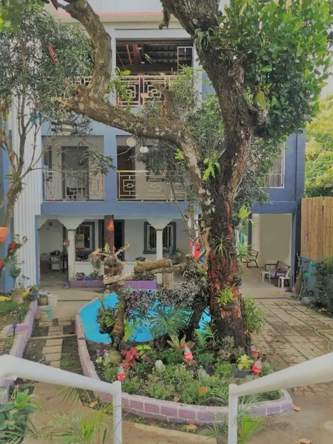 Purple Orchid Bed and Breakfast - Image 1