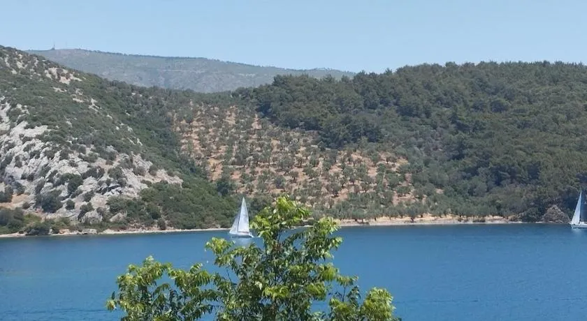 Pansofia - Image 1