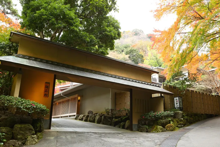 Oku Yugawara Tsubaki - Image 1