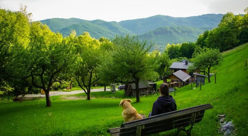 Na samote u lesa - Image 1