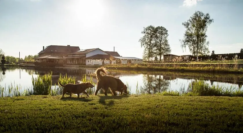 Tawerna Pod Kotwicą pokoje i domy wakacyjne - Image 1