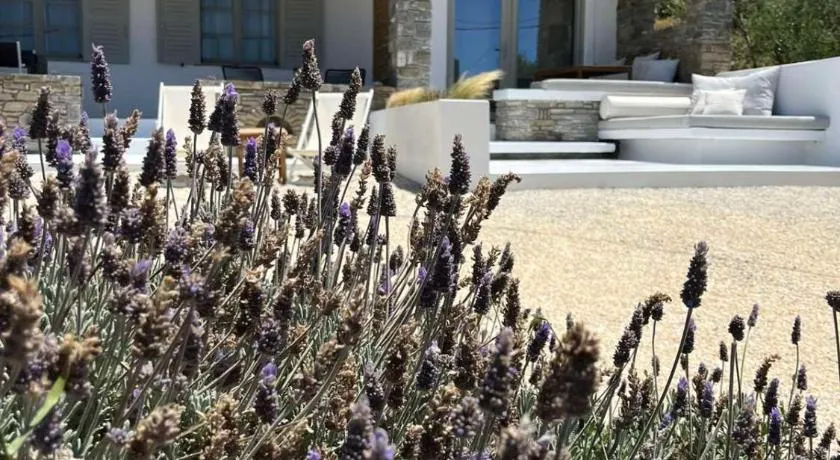Neso seafront studio Paros - Image 1