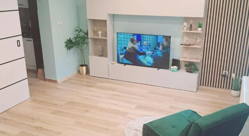 Domi studio - Image 1