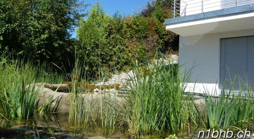 N1 Standalone House Baden - Image 1