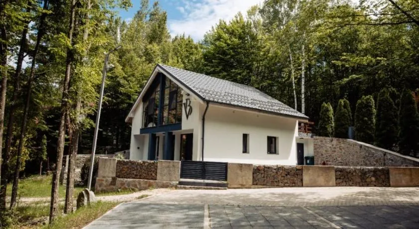 Vila Blanc Valiug Crivaia - Image 1