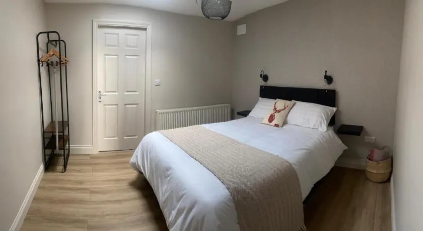 Castletroy Apartment - Image 1