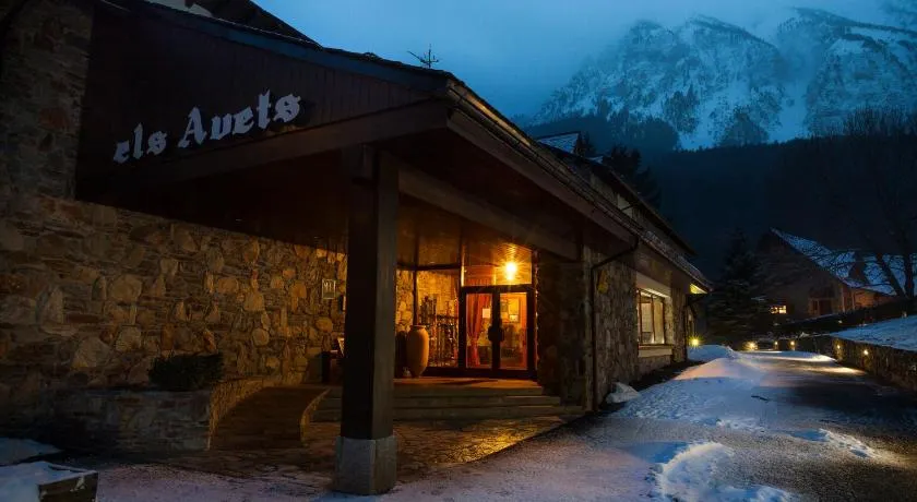 Hotel Els Avets - Image 1