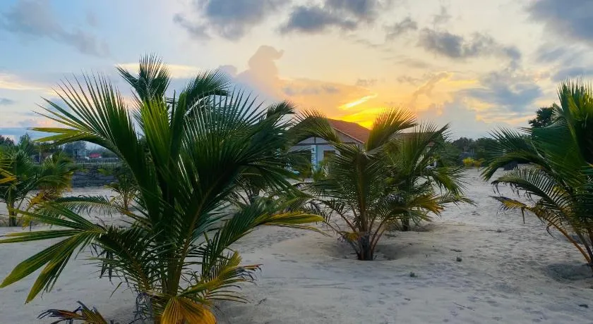 Beach Escape - Image 1