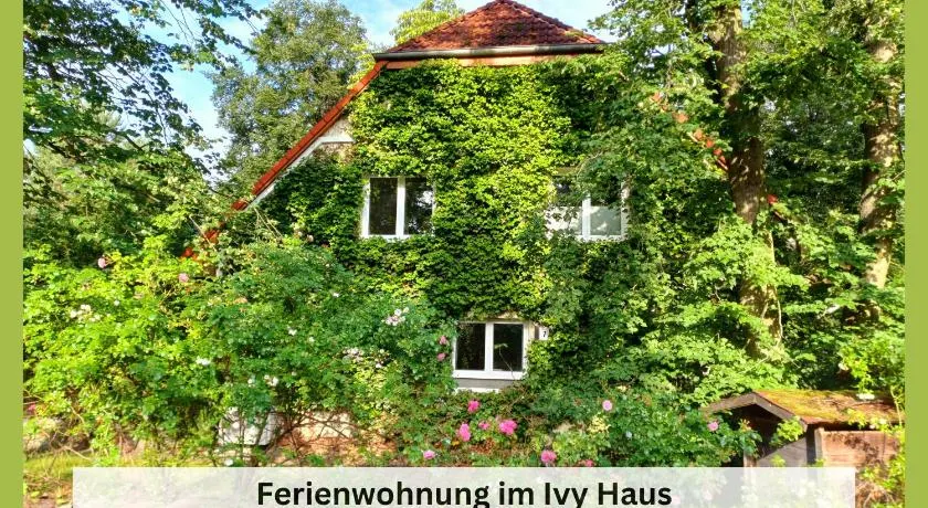 Ivy Haus - Image 1