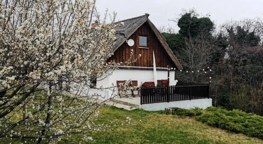 Hét Fenyő Vendégház / Seven Pines Holiday House - Image 1