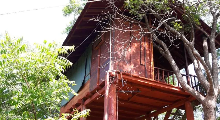 Dambulla Tree House - Image 1