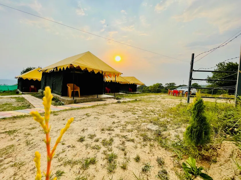 Tree Bones Camp - Image 1