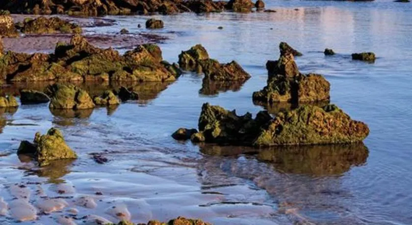 Playa Y Cañas - Image 1