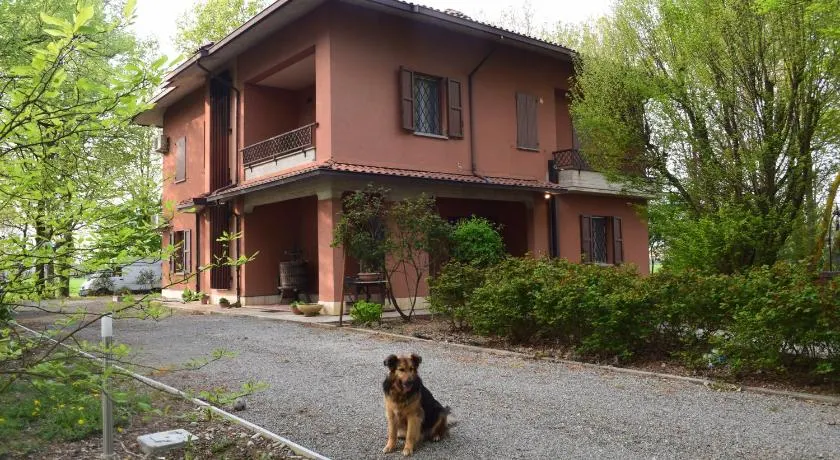 gambisa street - Image 1