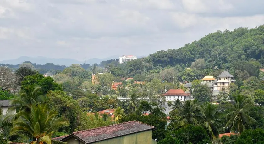 Expeditor Kandy - Image 1