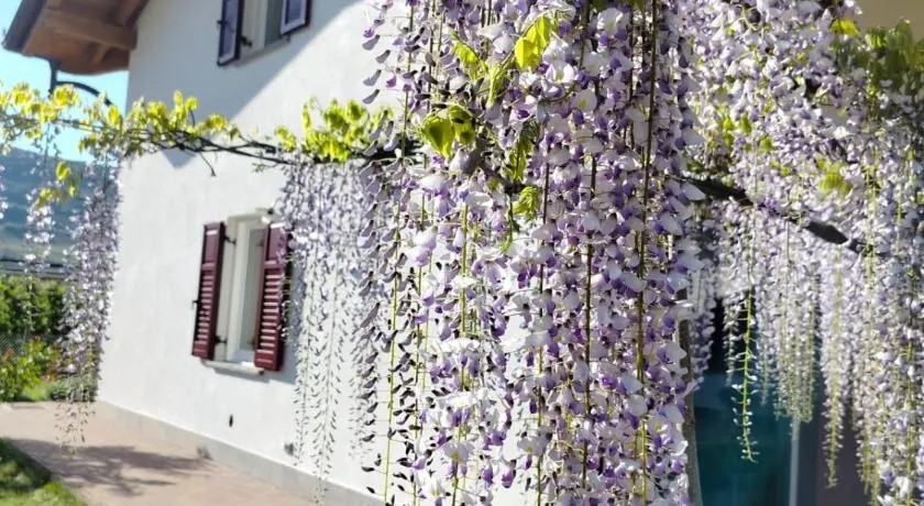 Agritur Lavanda - Image 1