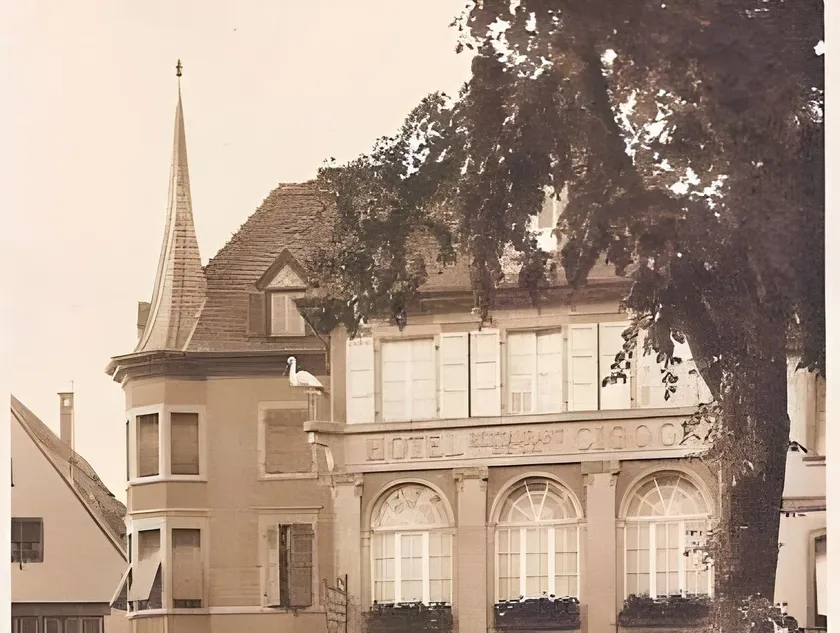 Hôtel Restaurant de la Cigogne - Image 1