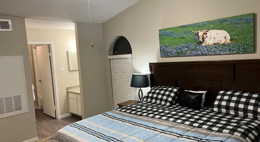 Beautiful 1-bedroom Townhome with nice amenities - Image 1