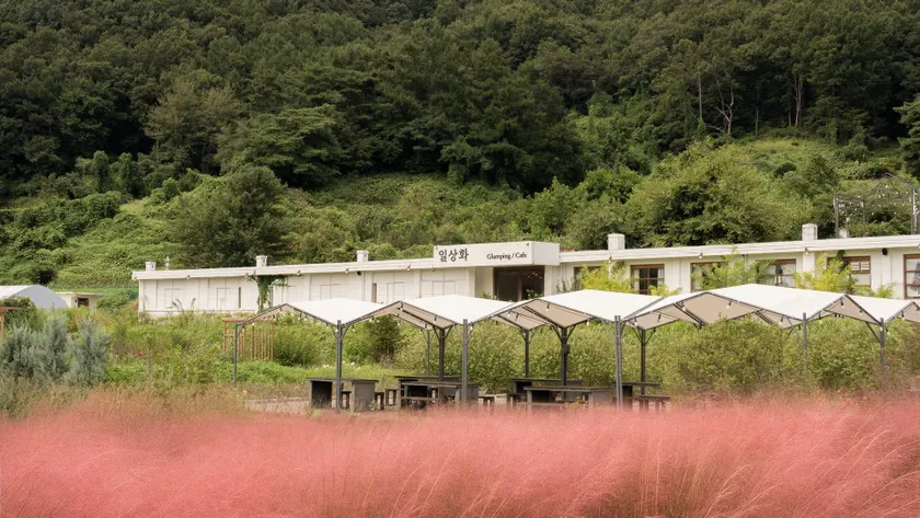 Boeun Ilsanghwa Glamping - Image 1