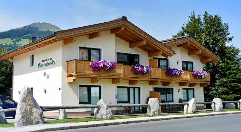 Appartements Hinterlechnerhof - Image 1