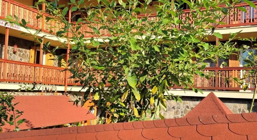 Natura Tusnad - Image 1