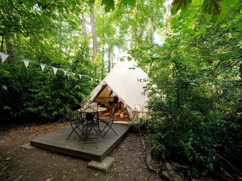 Woodland Pod near Highclere Castle - Image 1