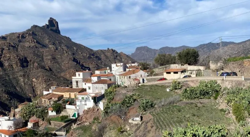 Nature in Tejeda - Image 1